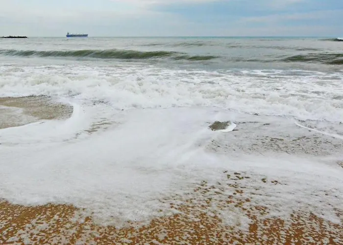 Apartment Danaya 1 Varna